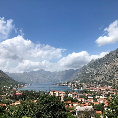 Apartman Savo Kotor Dış mekan fotoğraf