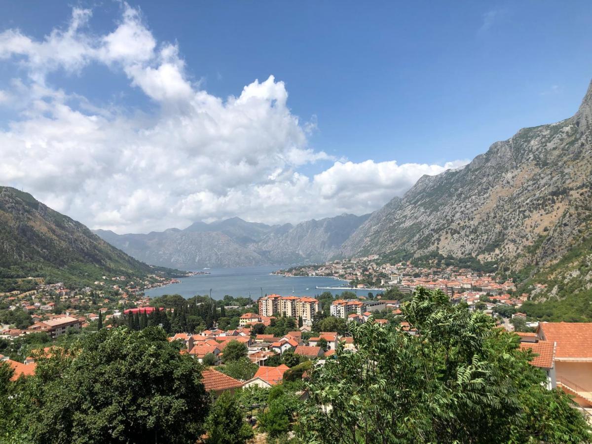 Apartman Savo Kotor Dış mekan fotoğraf