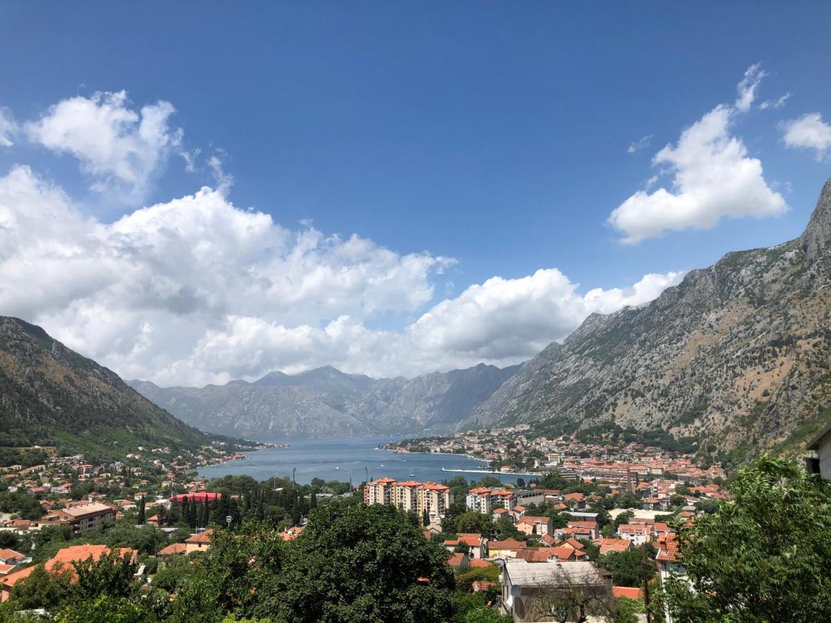 Apartman Savo Kotor Dış mekan fotoğraf